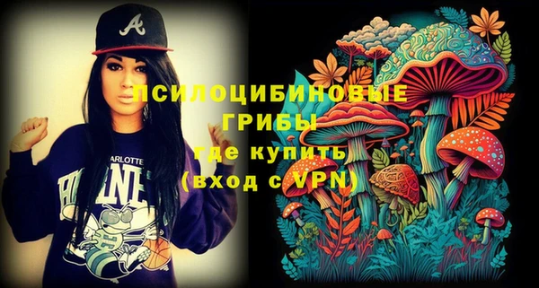бошки Нефтегорск