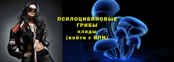 ПСИЛОЦИБИНОВЫЕ ГРИБЫ Нея