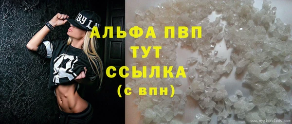 шишки Новокубанск